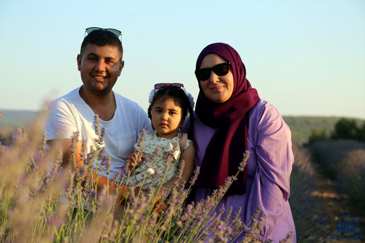 Muğla da lavanta bahçeleri misafirlerini ağırladı #2