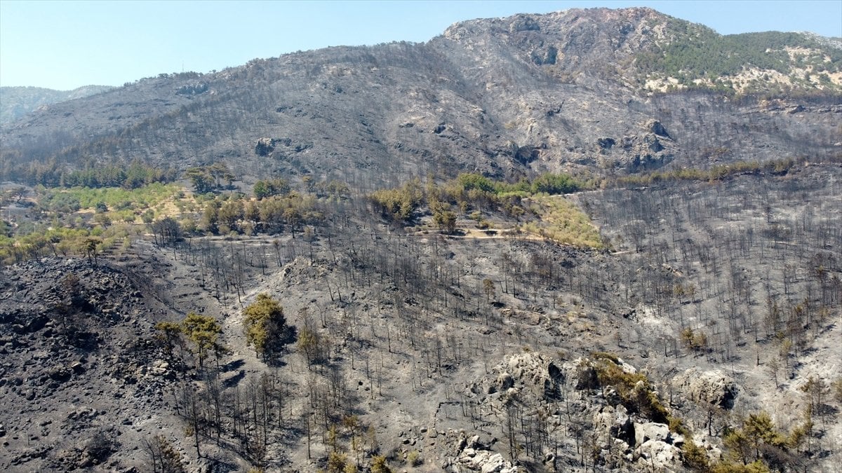 Datça’da yanan ormanlık alanın son hali #13