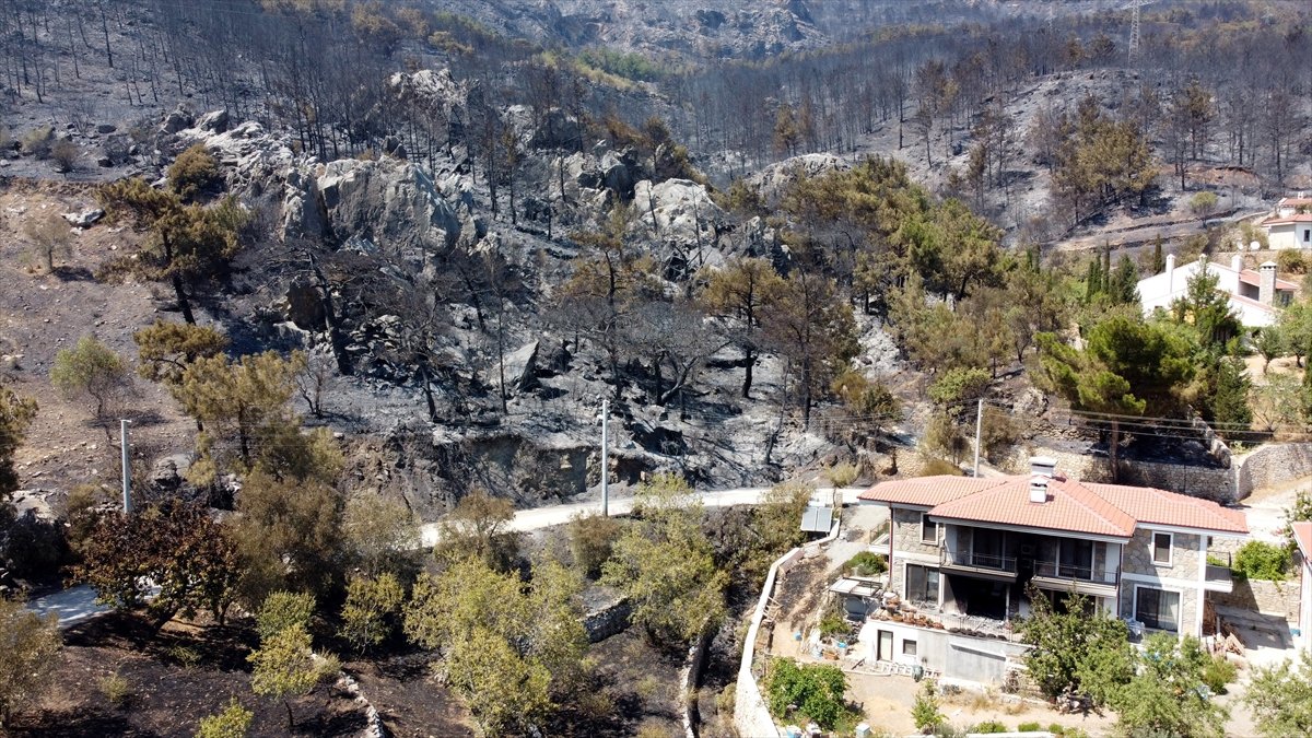 Datça’da yanan ormanlık alanın son hali #9