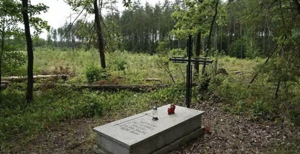 Mass grave with ashes of 8,000 bodies found near Nazi camp in Poland #6