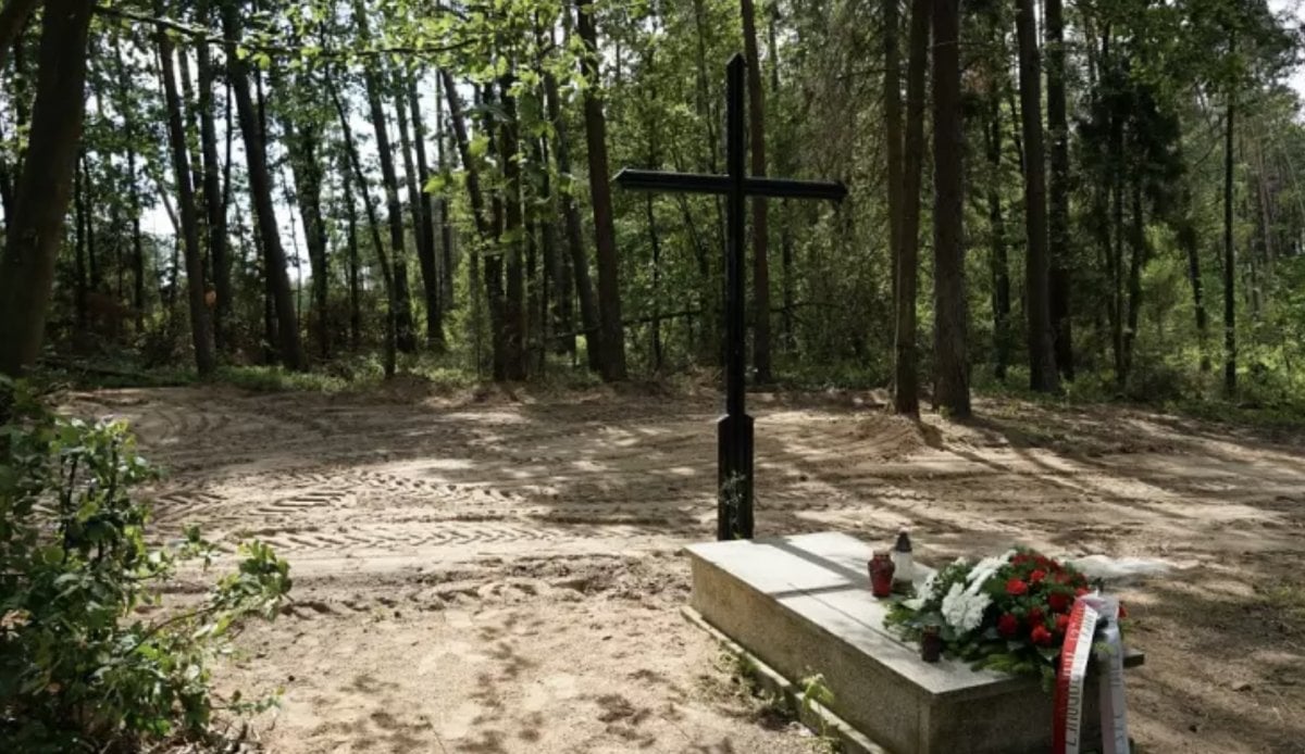 Mass grave with ashes of 8,000 bodies found near Nazi camp in Poland #5