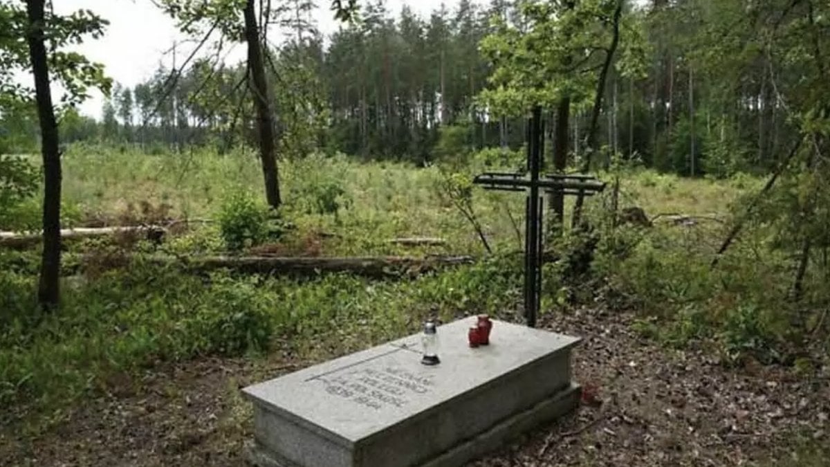 Mass grave with ashes of 8,000 bodies found near Nazi camp in Poland