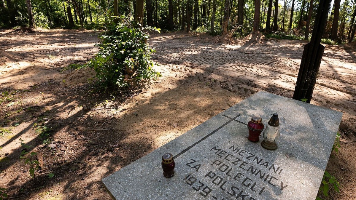Polonya da Nazi kampı yakınlarında 8 bin cesedin külünün olduğu toplu mezar bulundu #1