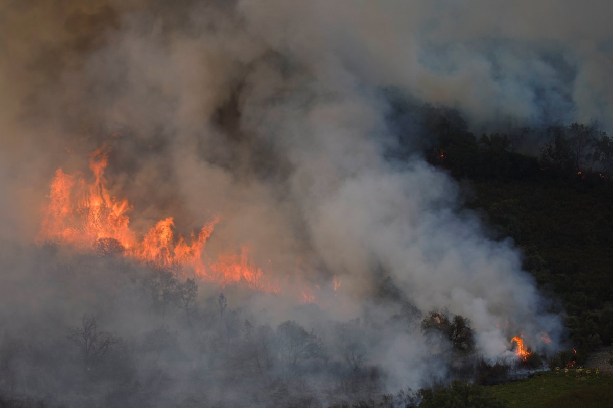 Avrupa, orman yangınlarıyla mücadele ediyor #4