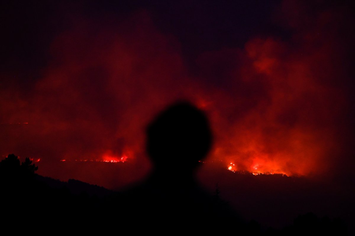 Avrupa, orman yangınlarıyla mücadele ediyor #5