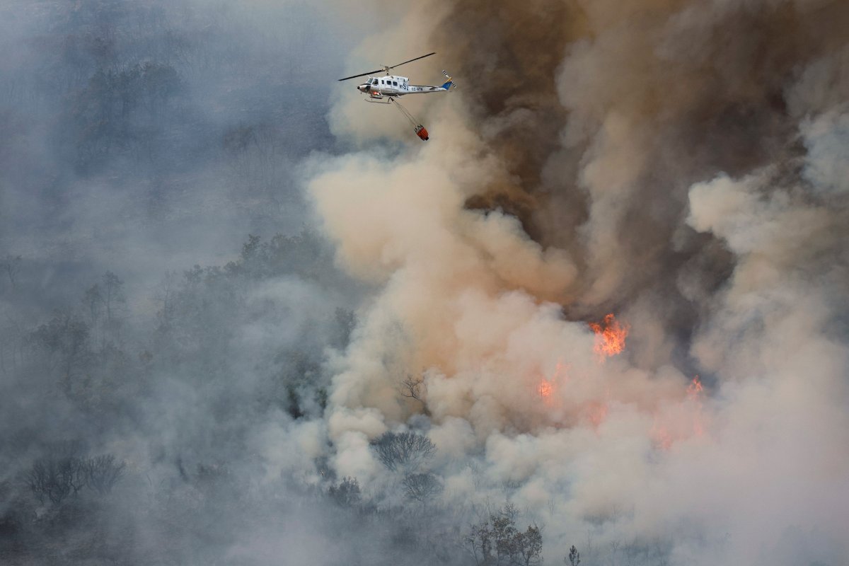 Avrupa, orman yangınlarıyla mücadele ediyor #1