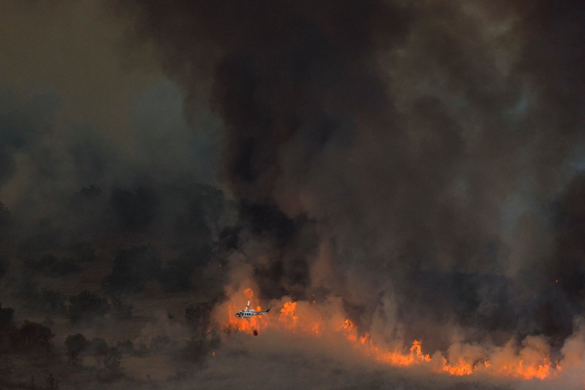 Avrupa, orman yangınlarıyla mücadele ediyor #3