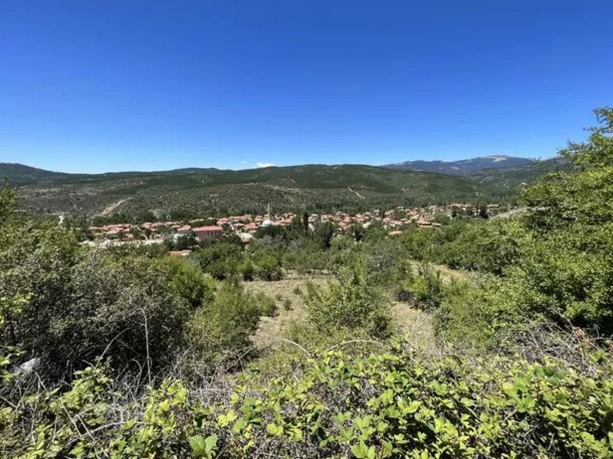 Kütahya da bir çoban ayı saldırısına uğradı  #3