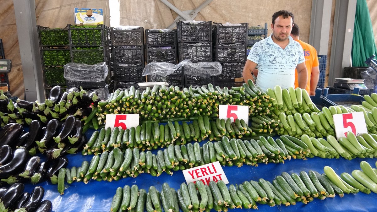 Mahsuller bollaştı, sebze fiyatları düşmeye başladı #7