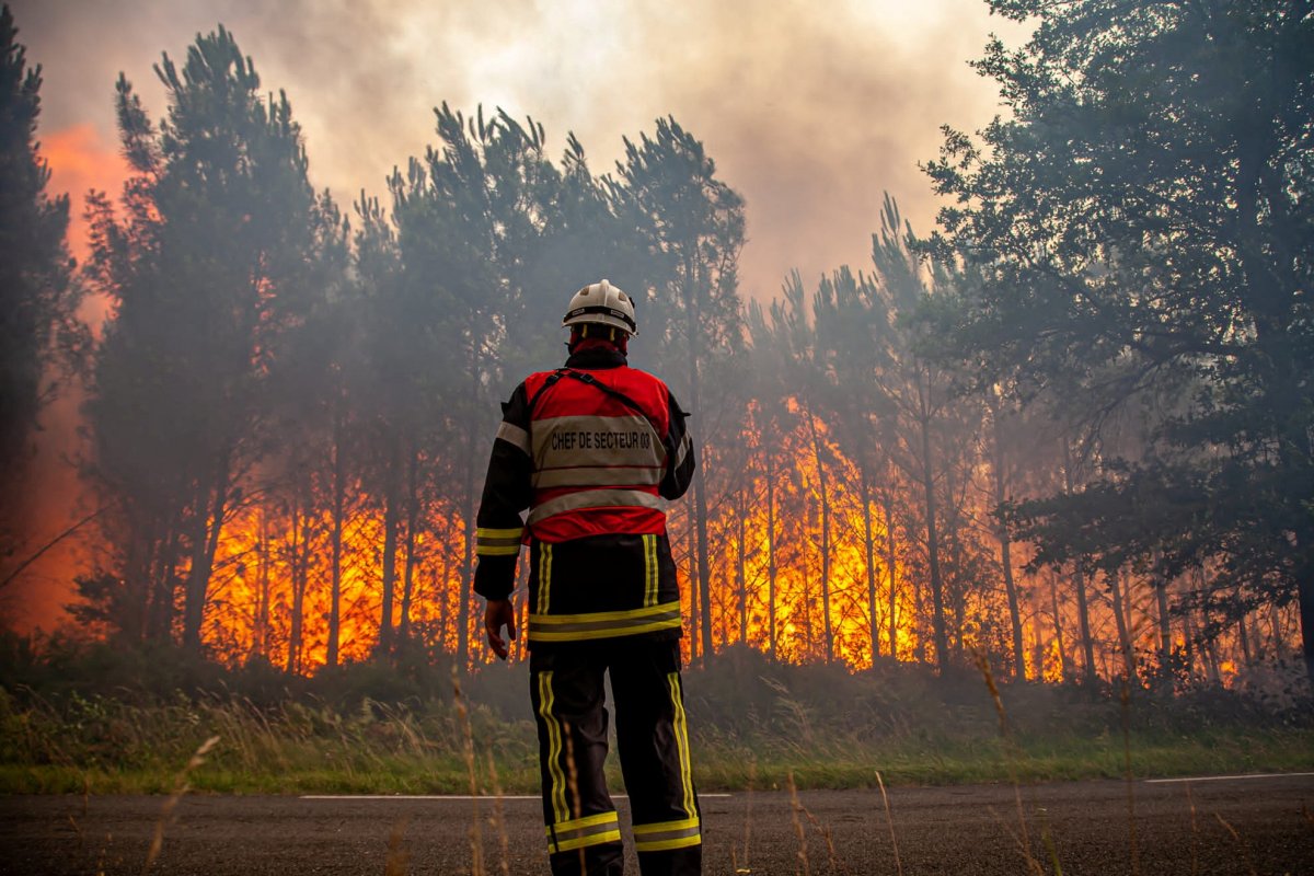 Extreme heat triggered wildfires in Europe and USA #4
