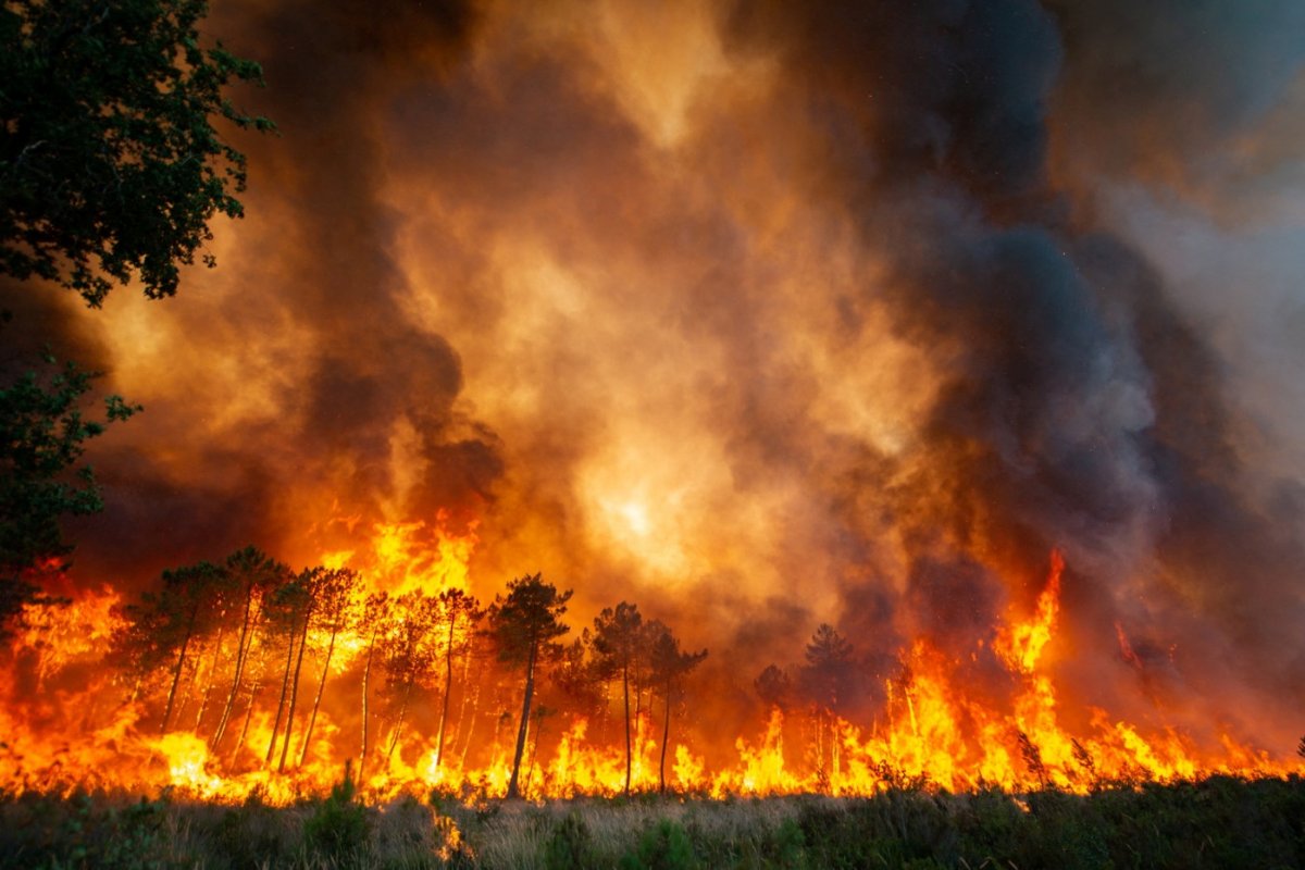 Extreme heat triggered wildfires in Europe and USA #2