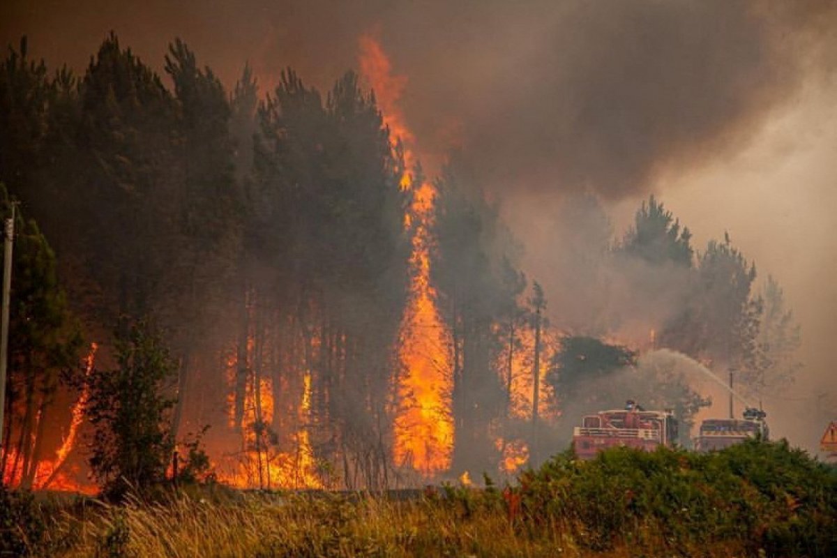 Extreme heat triggered wildfires in Europe and the USA #11