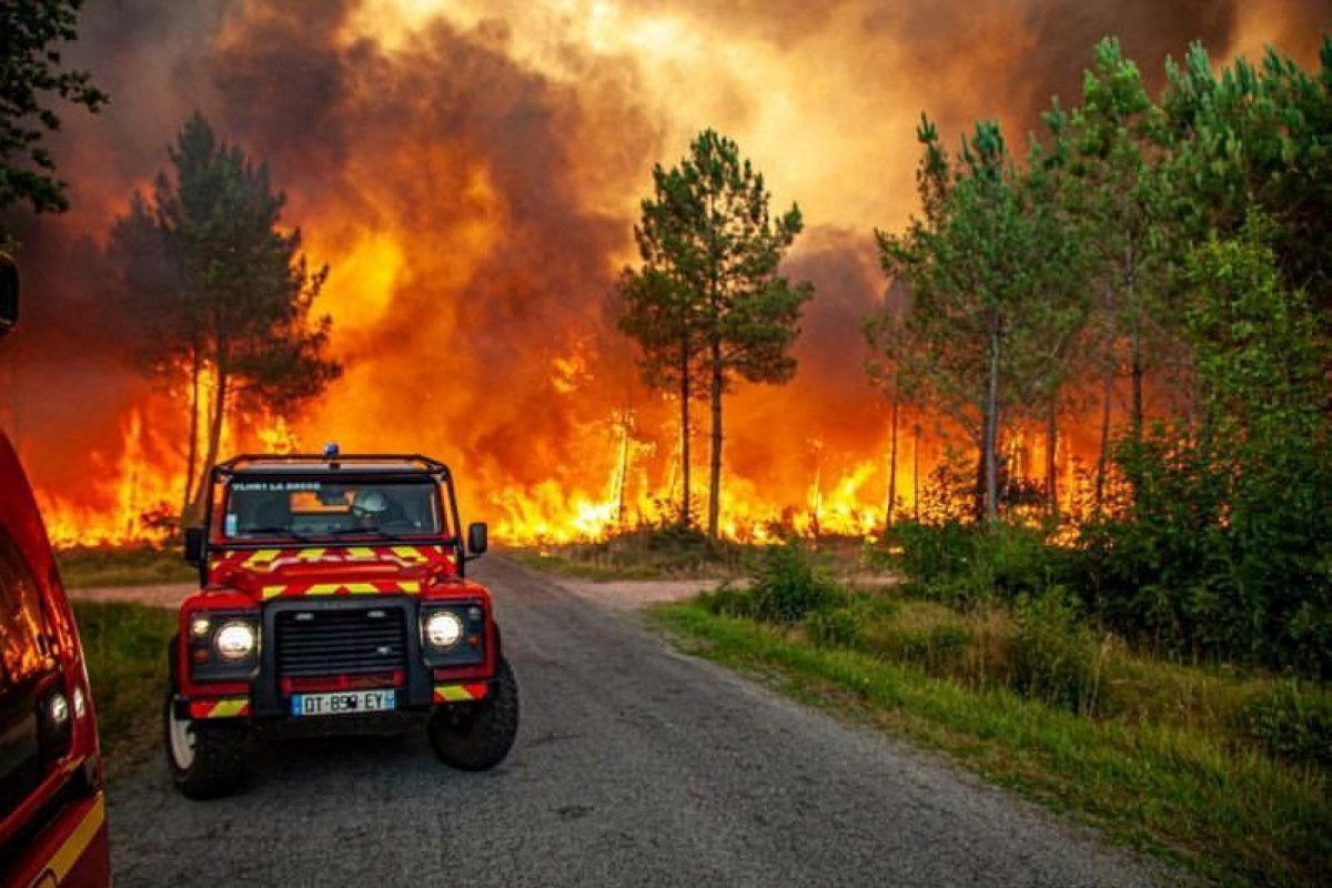 Extreme heat triggered wildfires in Europe and USA #9