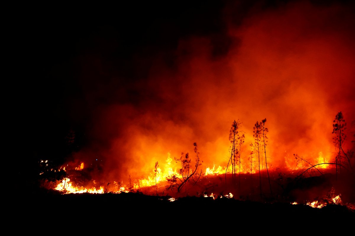 Responding to forest fires in France sparked controversy #3