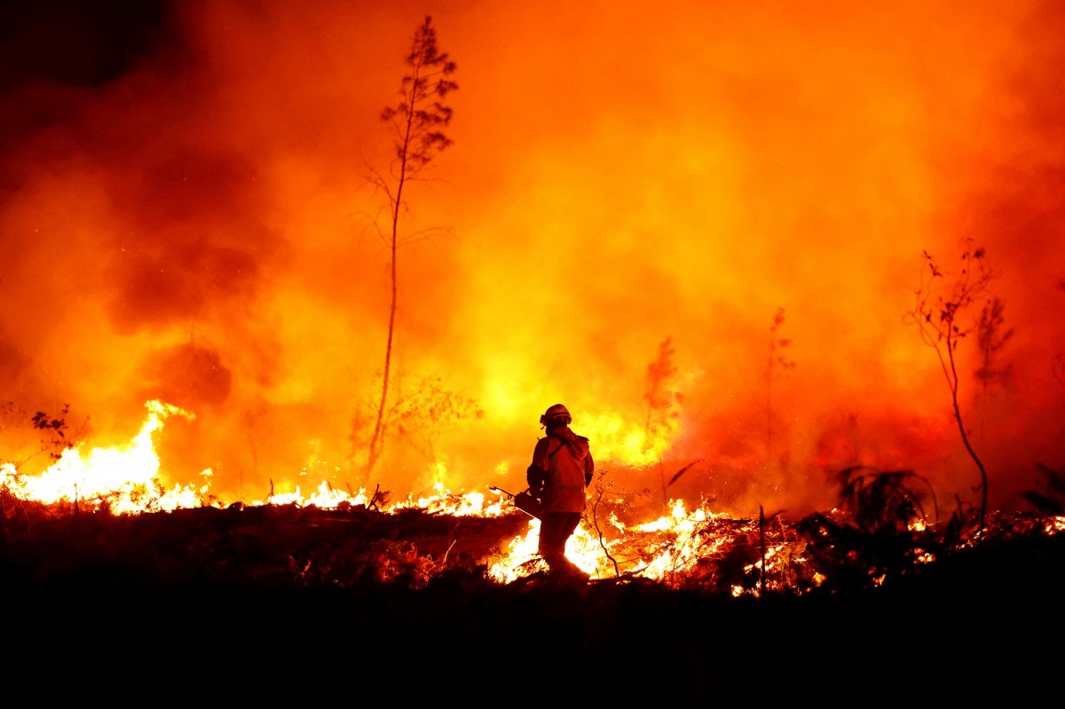 Responding to forest fires in France sparks controversy #4