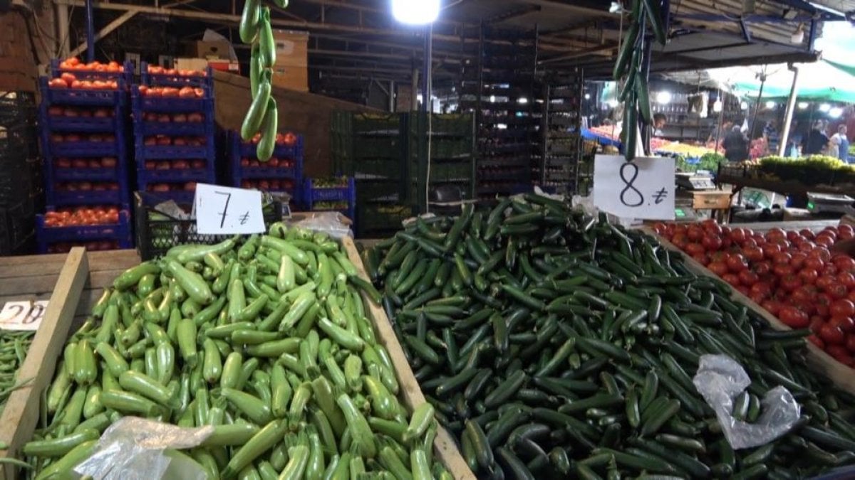 Sinop ta pazar tezgahlarında sebze fiyatları düştü #3