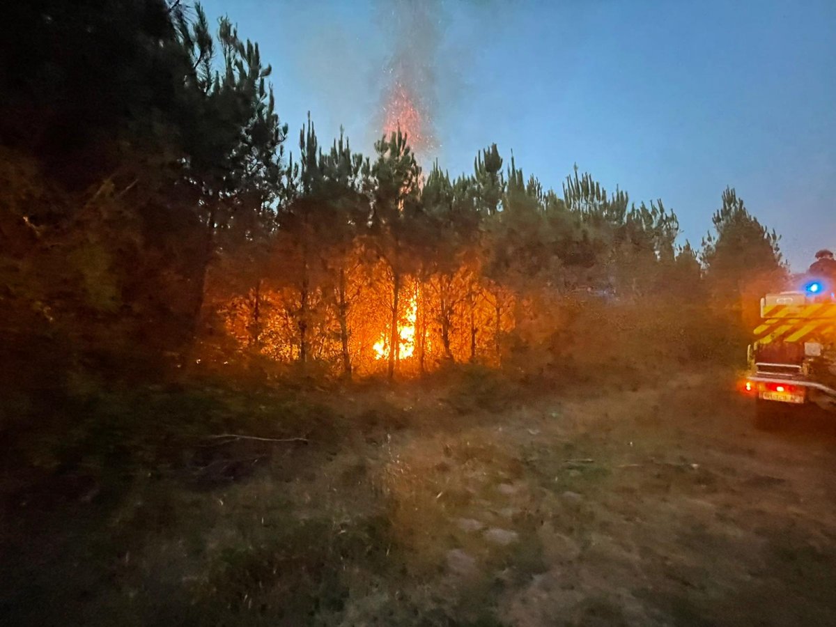 Fransa’da 6 gündür devam eden yangında 14 bin hektar alan kül oldu #1