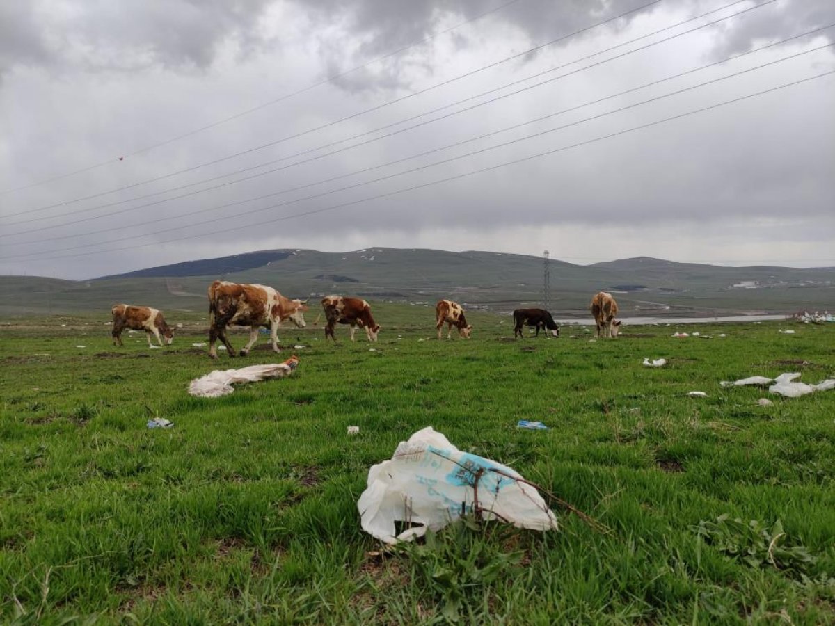 Ardahan da köylülerden belediyeye serzeniş: Arazimiz çöp poşetleri ile dolu #3