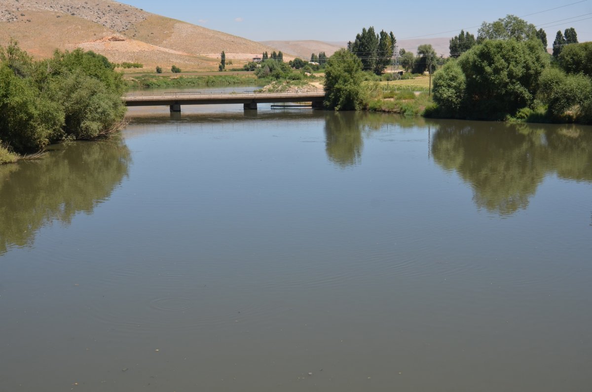 Waste problem in Ceyhan River: Fish perished #5