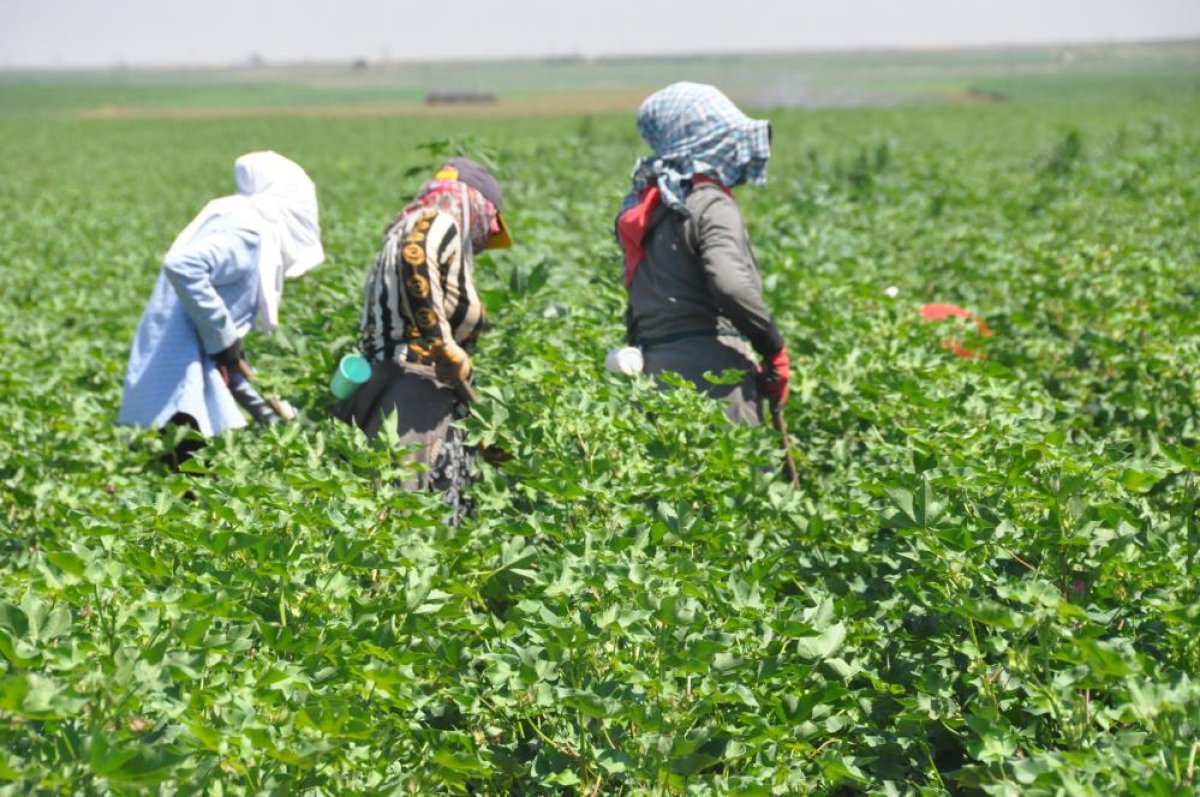 Herkes tatilde biz çalışıyoruz #2