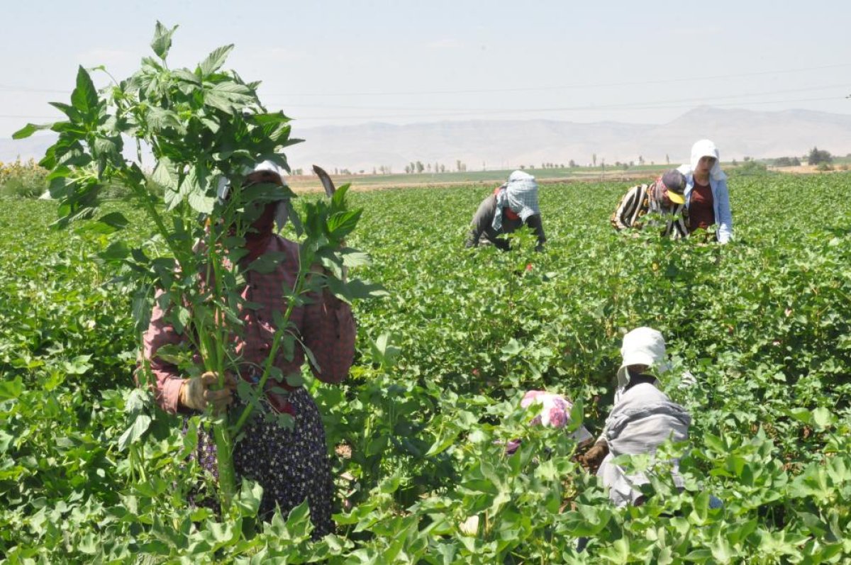 Herkes tatilde biz çalışıyoruz #1