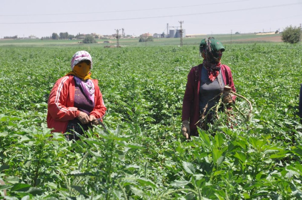 Herkes tatilde biz çalışıyoruz #3