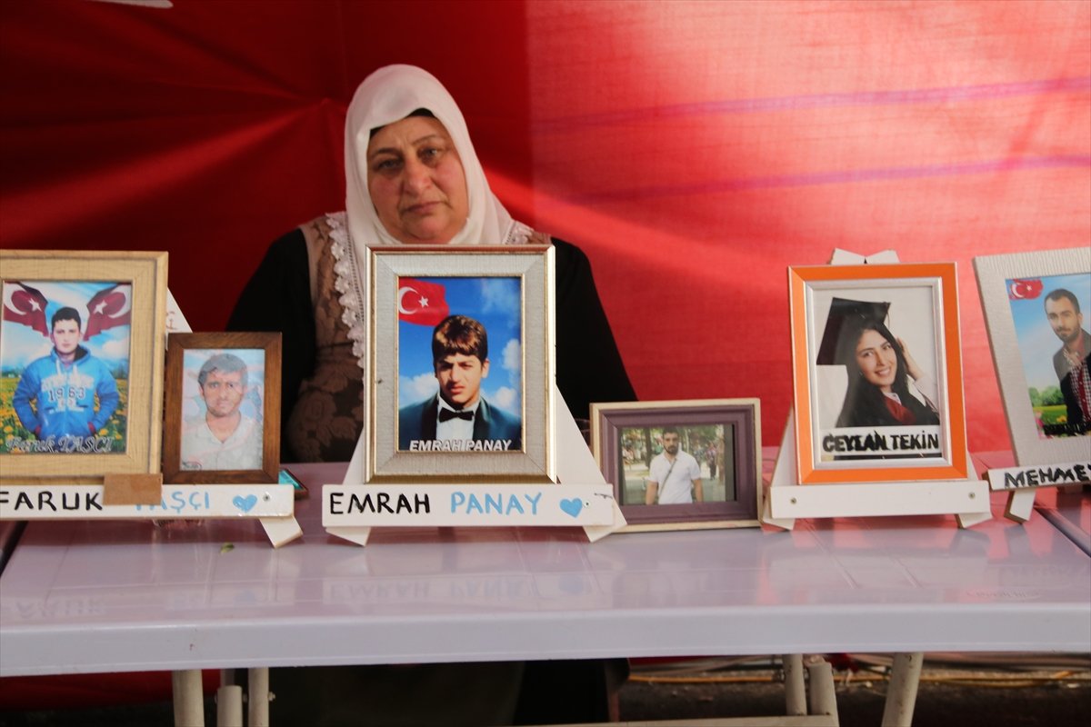 Diyarbakır annesi Üçdağ: Kanımın son damlasına kadar oğlumun peşindeyim #5