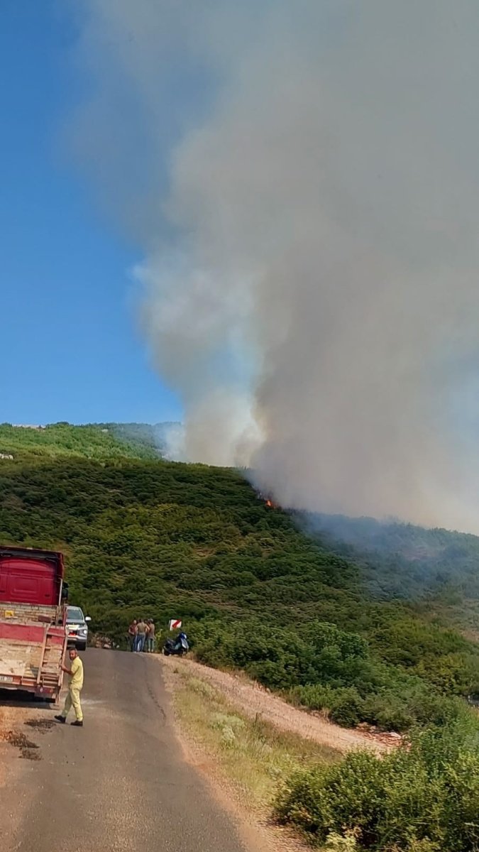 Tekirdağ da makilik yangını #7