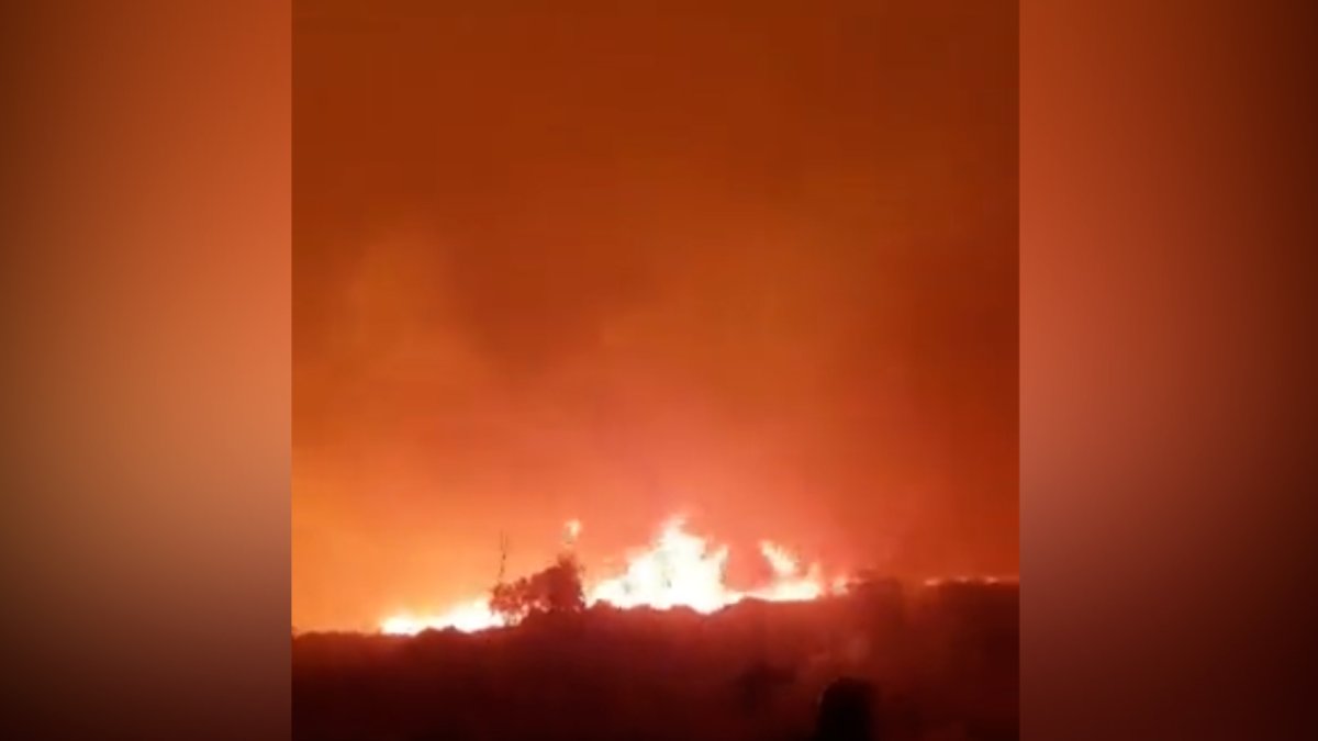 Yunanistan da Midilli Adası ndaki orman yangını evlere sıçradı #4