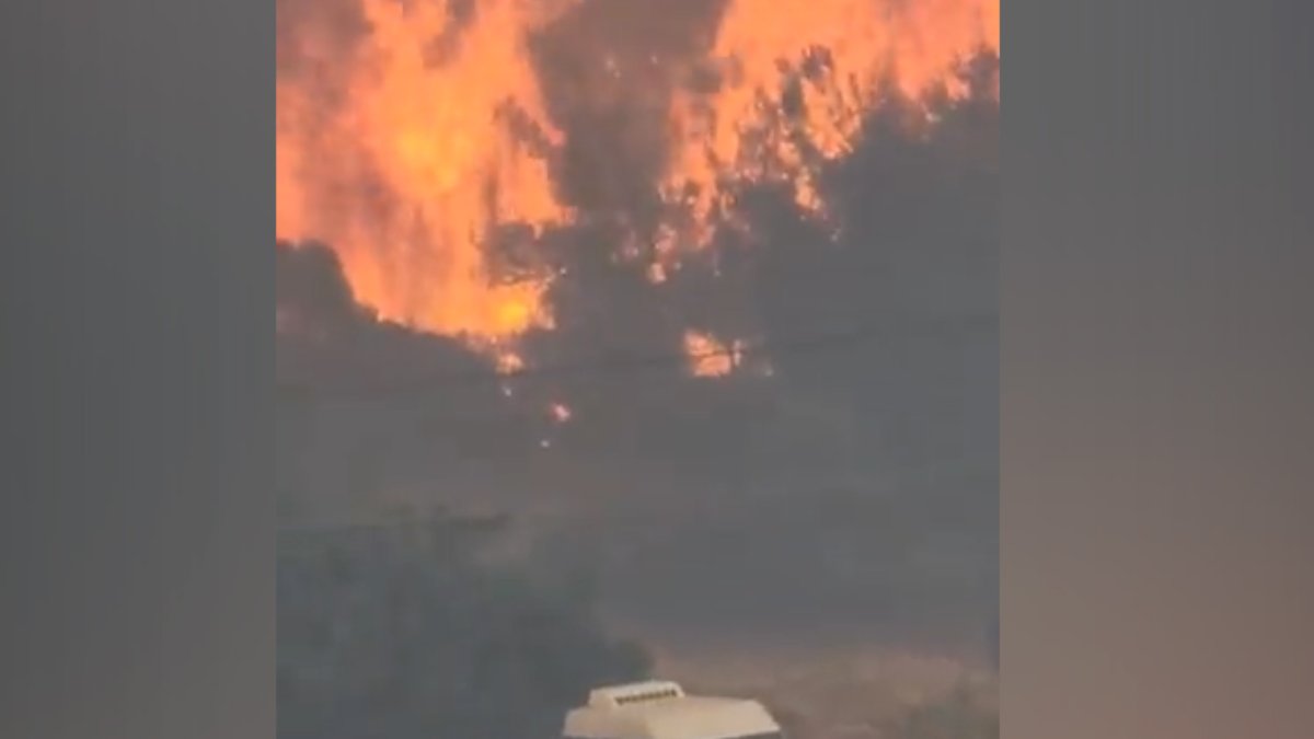 Yunanistan da Midilli Adası ndaki orman yangını evlere sıçradı #1
