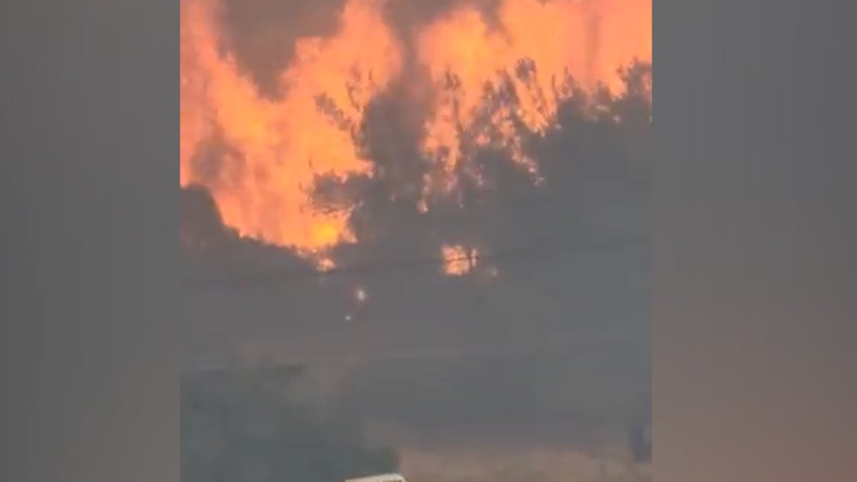Yunanistan da Midilli Adası ndaki orman yangını evlere sıçradı #2