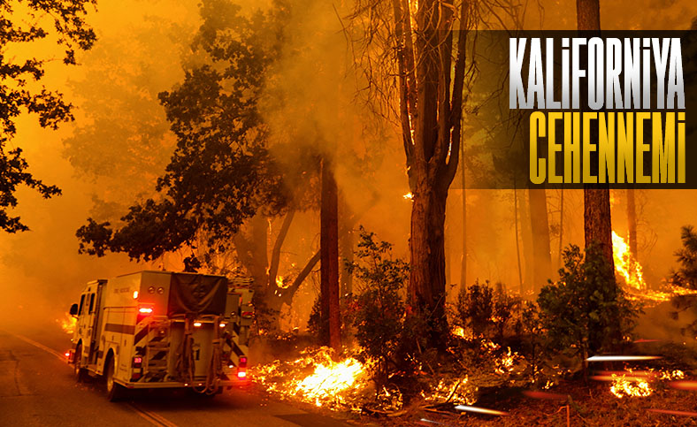Kaliforniya’da orman yangını: Acil durum ilan edildi