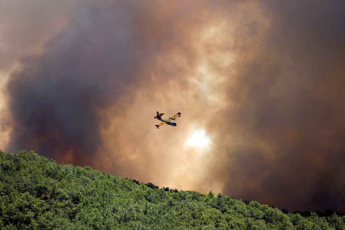 Forests on fire in Greece: second day in disaster #3