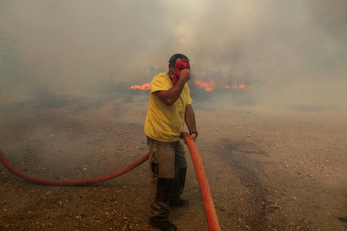 Forests on fire in Greece: second day in disaster #5