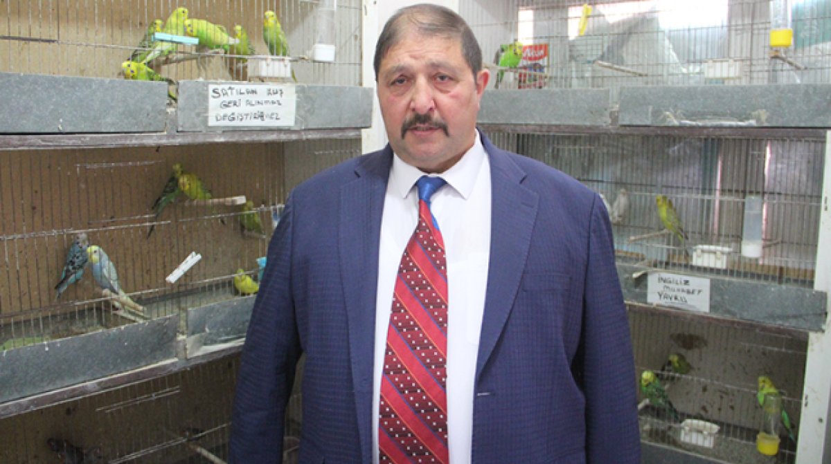 'Petshoplar, Kasaplar Odas�'na ba�land�' tart��mas� b�y�yor