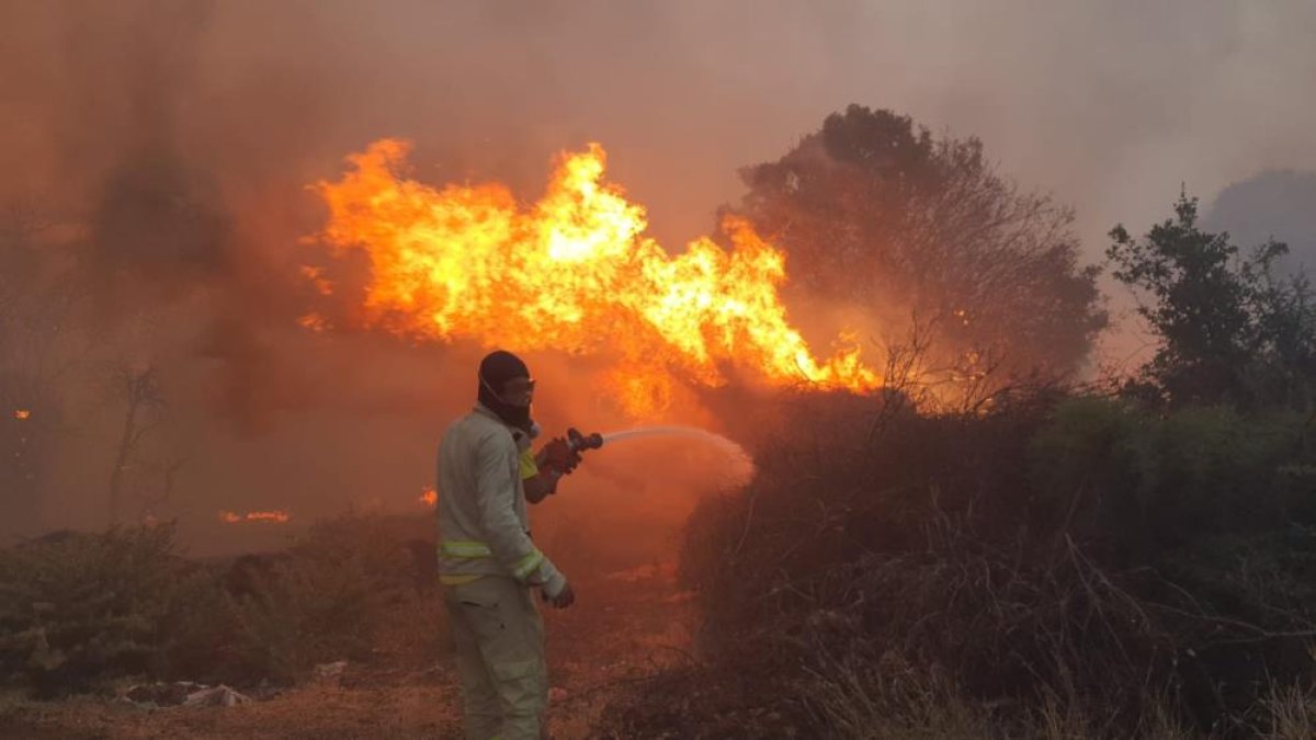 Manisa da orman yangını: 20 ev boşaltıldı #1