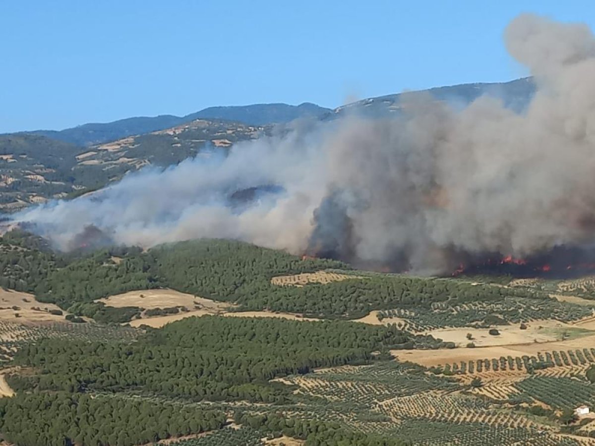 Manisa da orman yangını: 20 ev boşaltıldı #6
