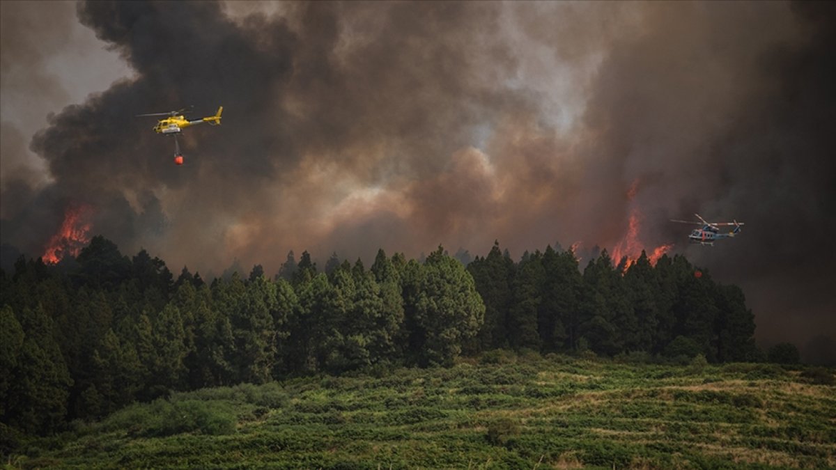 Forest fires in Spain and Italy #2