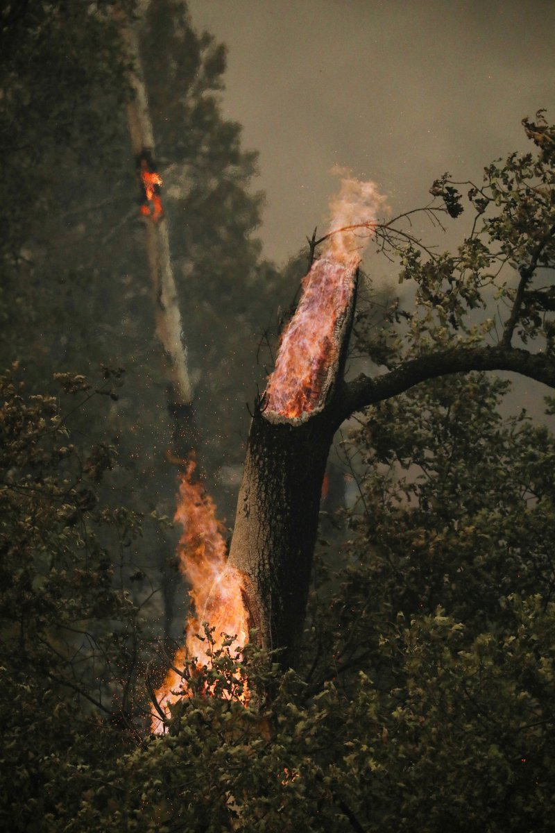 Wildfires continue in California #14