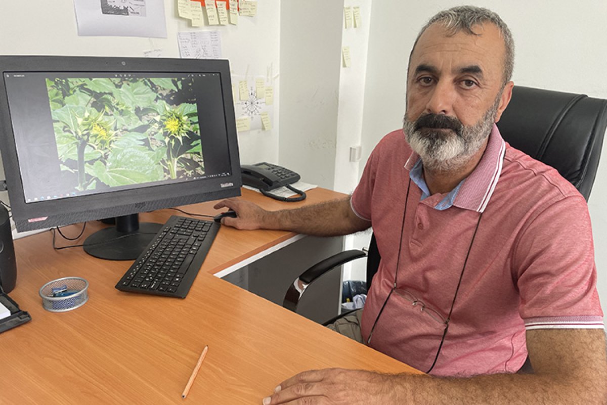 Çayır tırtılı istilalarına karşı uzmanından açıklama: Paniğe gerek yok #4