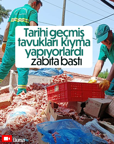 Bursa'da tarihi geçmiş tavukları piyasa süreceklerdi, zabıta buldu