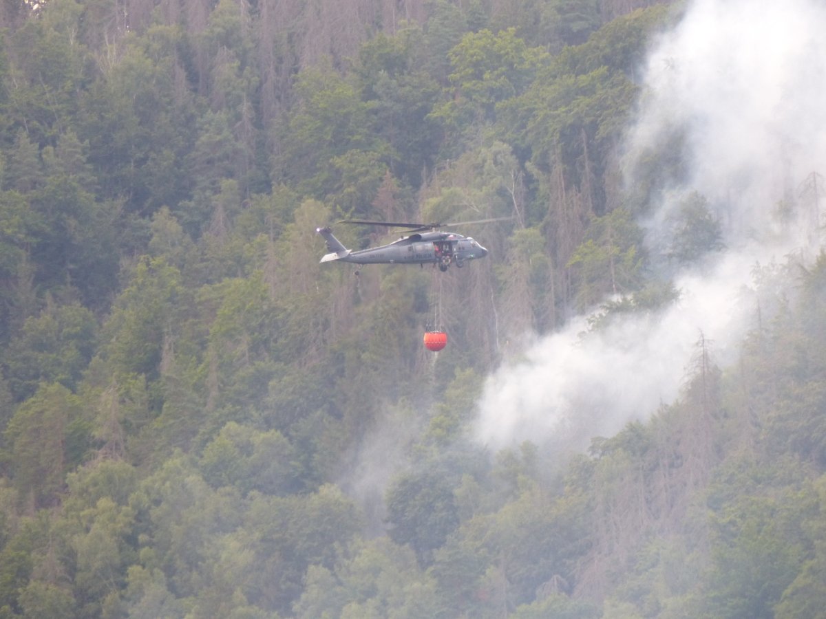 Çekya daki orman yangınında bin hektarlık alan küle döndü #6