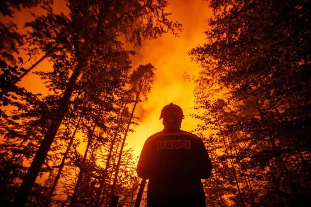 Çekya daki orman yangınında bin hektarlık alan küle döndü #3