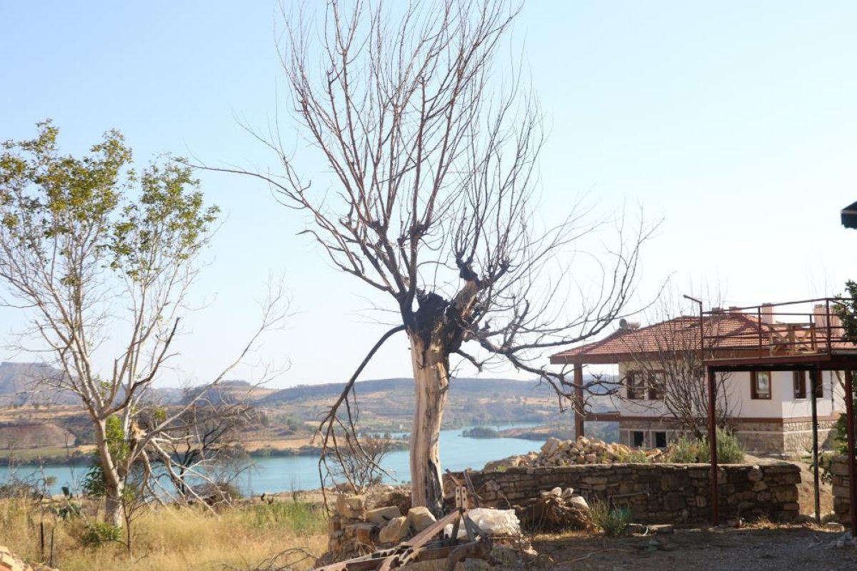 Manavgat yangınında zarar gören yapılarda sona doğru #4