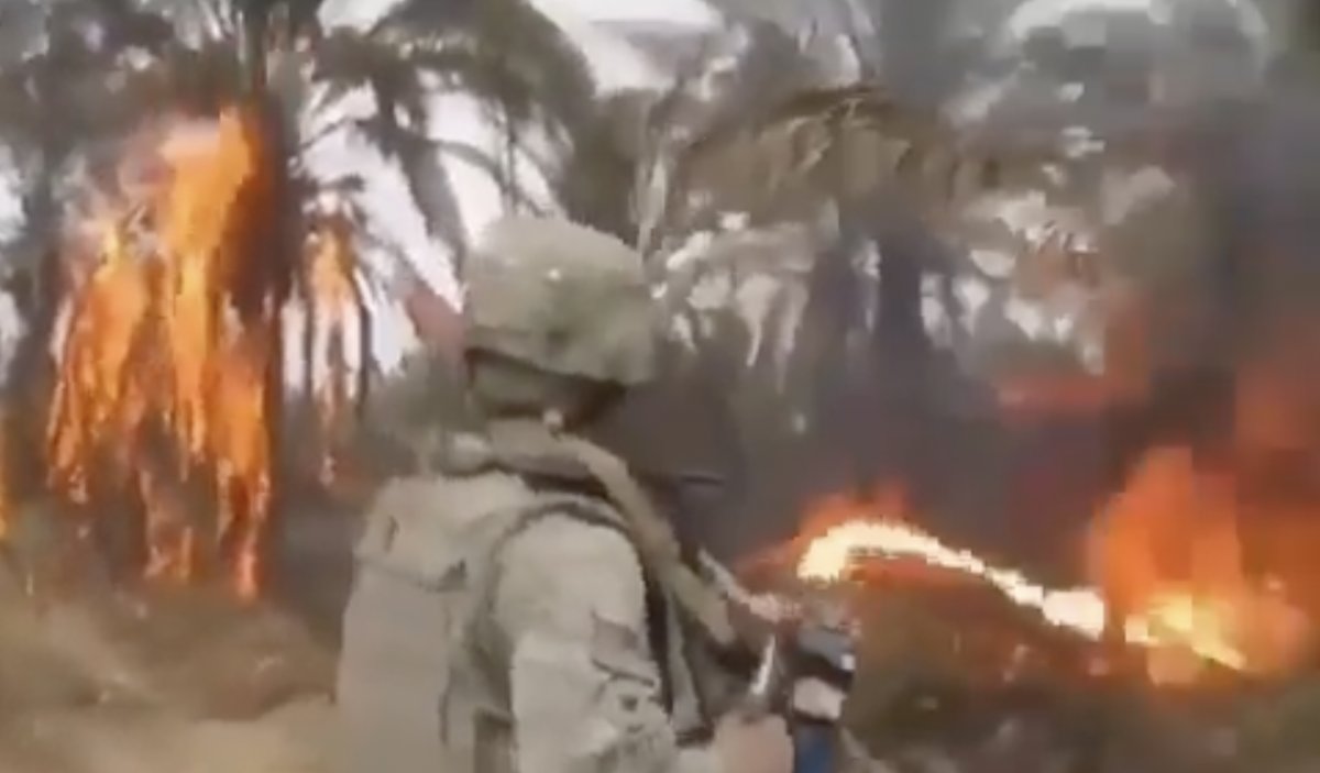 US soldiers burning orchards in the invasion of Iraq #3