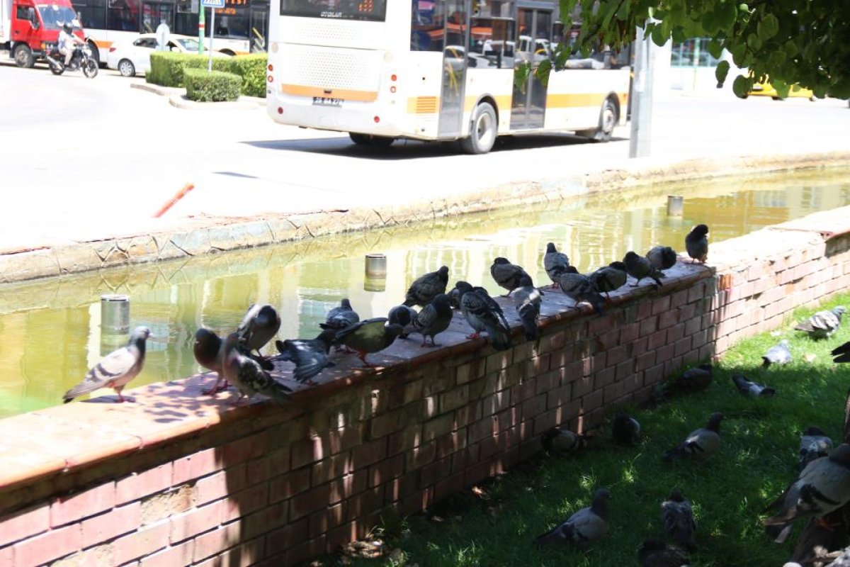 Eskişehir de termometreler 30 derecenin üzerine çıktı #2