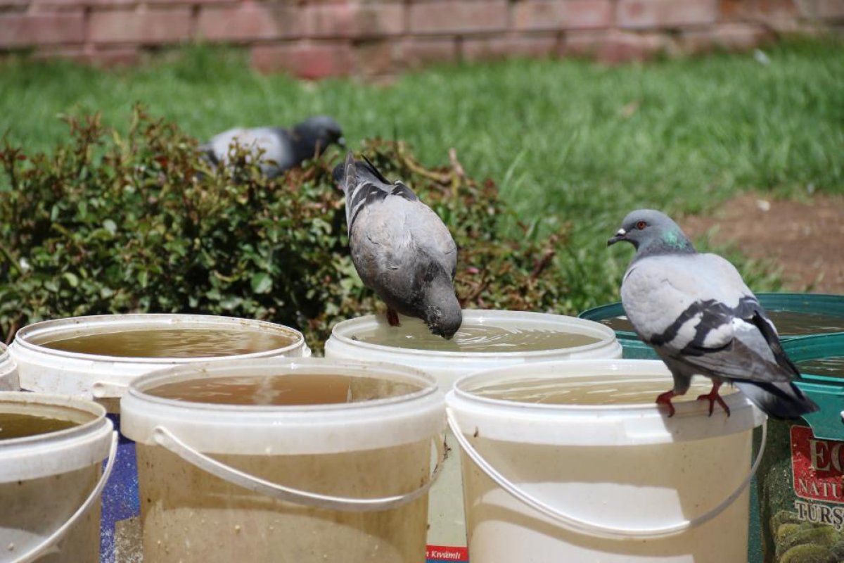 Eskişehir de termometreler 30 derecenin üzerine çıktı #3