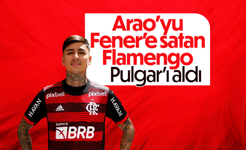 Erick Pulgar, Flamengo'da