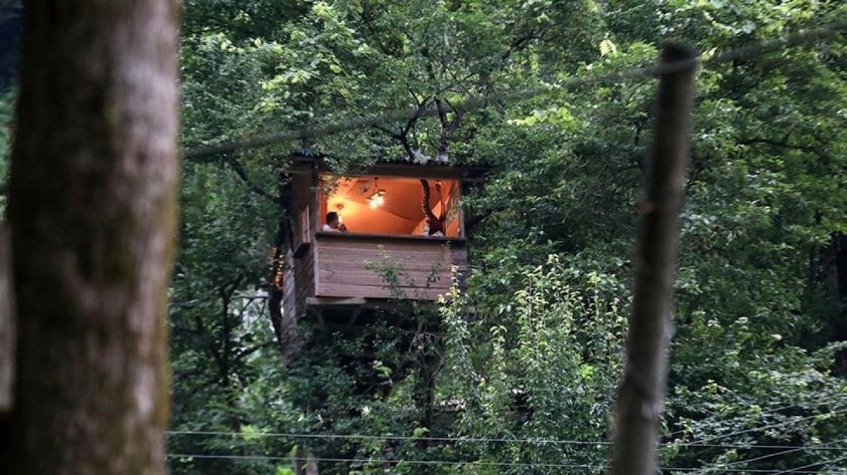 Rize de 20 metre yüksekte kendine ağaç ev yaptı #1