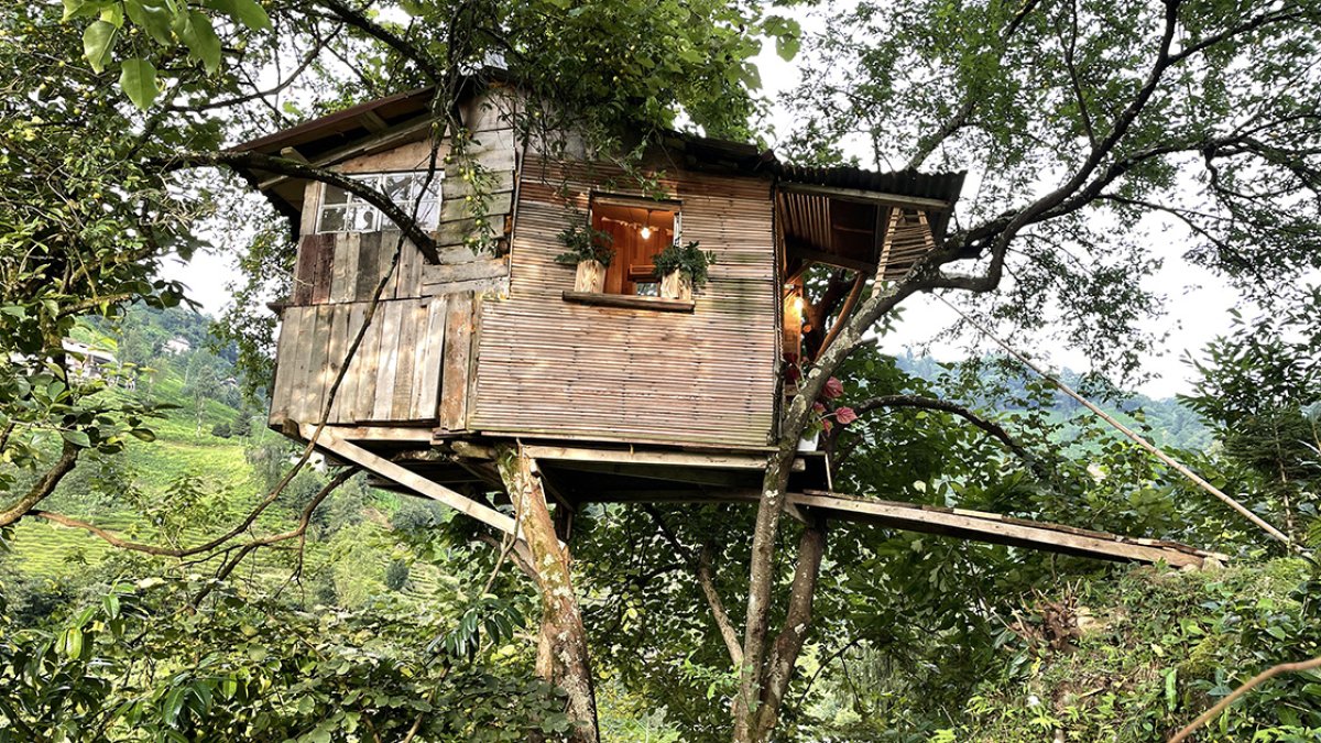 Rize de 20 metre yüksekte kendine ağaç ev yaptı #5